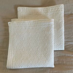 Two Restoration Hardware Euro Shams